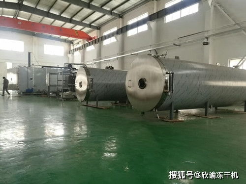 真空冷凍干燥機(jī)干燥過(guò)程中與溫度之間有何關(guān)聯(lián)